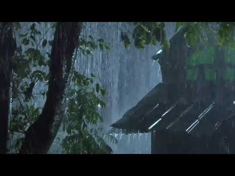 Unbelievably Cozy Window Rain Sounds for Instant Calmness and Deepest Sleep Guaranteed.