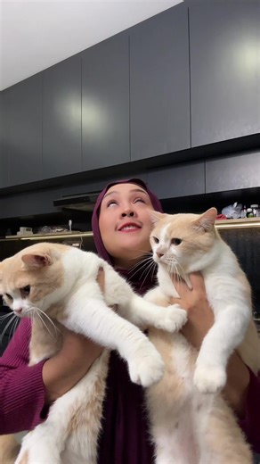 Download Lagu Pororo untuk TikTok