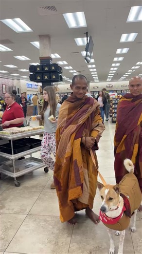 🔴 Livestream: Rest Stop in Crossville, TN - Day 111 (2/13/2026) We are having a break in Crossville, TN after a long journey on the bus as we continue our way back to Fort Worth, TX. May you and all beings be well, happy and at peace. 🙏✨ | Walk for Peace