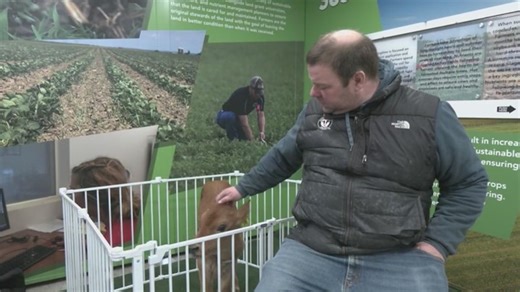 Dairy farms seek profits despite tariffs