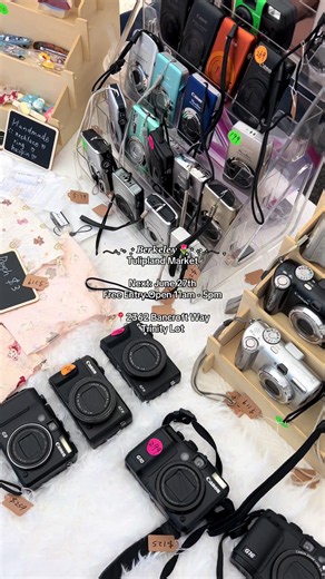 Berkeley Tulipland Market June 27 — Vintage & Handmade Flea Market