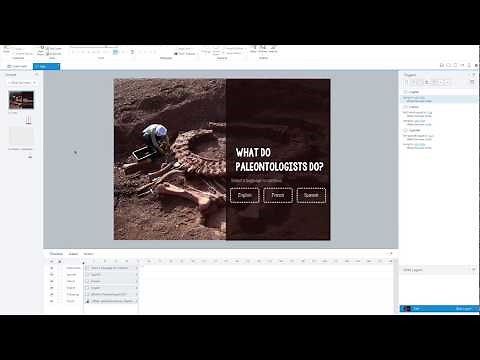 Articulate Storyline: Using Layers to Create One Course in Multiple Languages