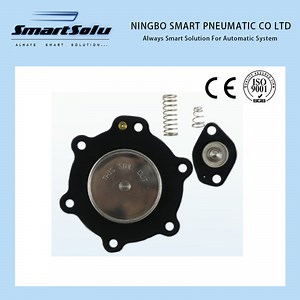 [Hot Item] Asco C113826 Diaphragm Kits for Pulse Jet Valve
