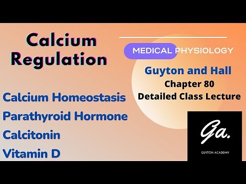 Calcium regulation | Parathyroid Hormone | Calcitonin | Vitamin D