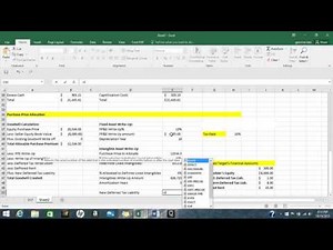 Purchase Price Allocation Section of Merger Model