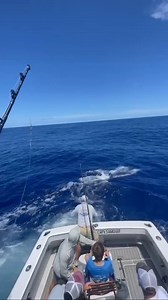 Kona, HI - Reel Escapes released 2 Blue Marlin. | Billfish Report LIVE