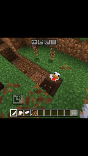 killing the chicken #minecraft