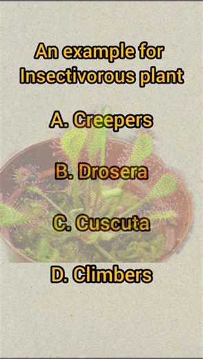 GK QUESTIONS | SCIENCE