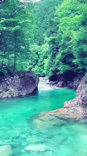 Vidéos de Amara Ahmed (@amara.ahmed59) avec son original - RIM’K