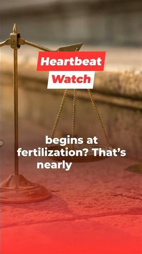 Understanding Core Pro-Life Arguments