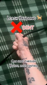 Leash handling TIPS . . . #dogbodylanguage #aggressivedog #dogs #puppy #dogsoftoronto #dogtraining #dogtrainer #dogtrainersofinstagram #runyourdognotyourmouth #dogsofinstagram #germanshepherd #obedience #doglover #dogsinthe6ix #ecollartraining #reactivedog #reactivedogsofinstagram #torontodogs #rescuedog #rescuedogs #toronto #balanceddogtraining #puppy #torontobarks #balanceddogtraining #balancedtrainer #dog #virtualdogtraining #torontolife | The Tired Pooch