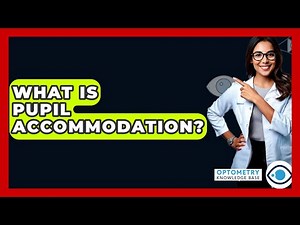 What Is Pupil Accommodation? - Optometry Knowledge Base