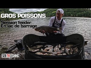 My record tench is here I Feeder fishing in Cabanac