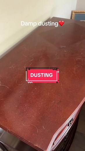 Professional Cleaner's Expert Dusting Tips | CleanTok