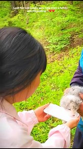 Lost fox cub luckily gets help from a family and the ending.hd Lost fox cub luckily gets help from a family and the ending.hd | Dogs and stories