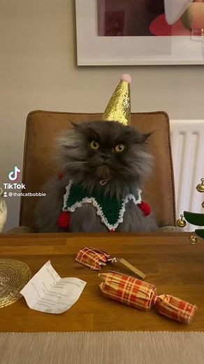 1.2M views · 33K reactions | All I want fur Christmas  | Bobbie the Persian | Facebook