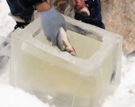 321K views · 394 reactions | Smart hacks for a comfortable cold-weather camp! | 5-Minute Crafts | Facebook