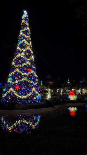 11K views · 354 reactions | Disney’s Hollywood Studios is easily the best place to just sit and enjoy the Christmas decorations and music - especially at night  | Doctor Disney | Facebook