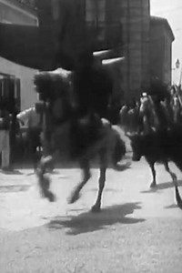 Course de taureaux provençale - Movie