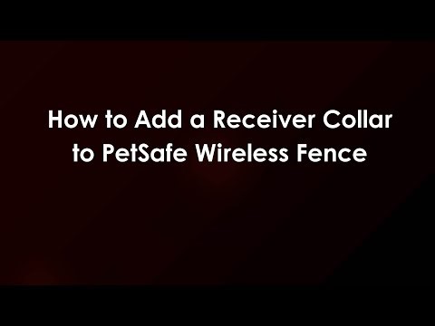 How to Add a Receiver Collar to PetSafe Wireless Fence