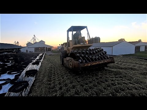 Finishing Corn Silage Harvest & Hauling Box Manure