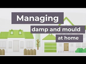 Prevent Damp and Mould: Tips and Tricks to Get You Started