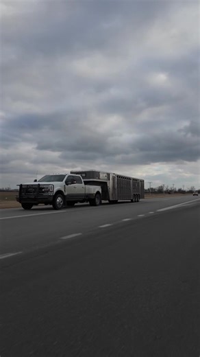 Hotshot Cattlepot Adventures with FlyByNightTrucking