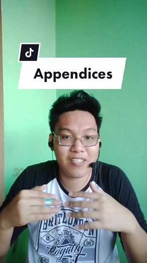 How to Include Appendices in Your Research Paper