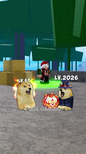 admin give admin fruit🤔⁉️| Doge Gaming