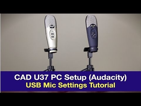 How to Setup CAD U37 on Windows PC - Audacity Settings