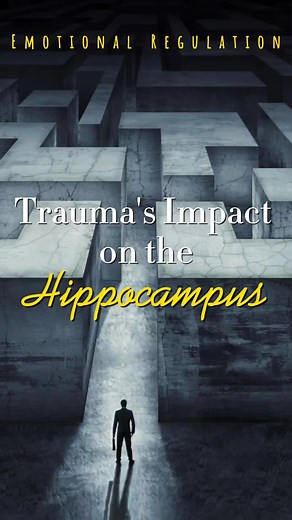 Hippocampus y Sanación Emocional: Entendiendo el Trauma