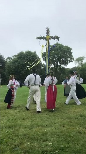 Swedish Folk Dancing Example