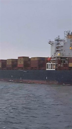 5.2K views · 350 reactions | Container ship Msc Cornelia Loa-293m Wd-32m @topfans #container #maritime #marct #ship #Gensan #marbel | Mar CT Sea Coast | Facebook