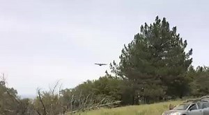 Training with the Modular Airborne Firefighting System has begun in southern California. Check out this water drop from a 146th Airlift Wing C-130. | Nevada National Guard