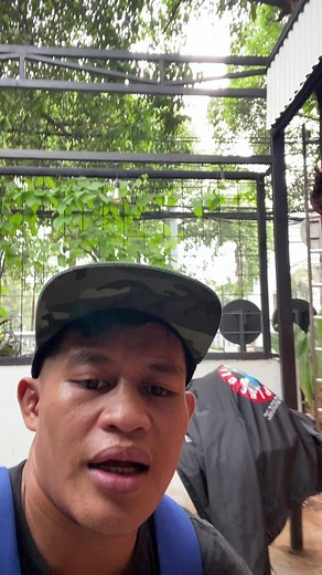 Kaka Main Salah: Lagu Daerah Papua yang Menghibur