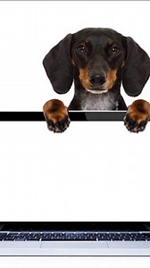 ¿Laptop o Notebook? - Descubre sus Diferencias