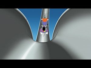 Oggy and the Cockroaches - Flying Lesson (s06e36) Full Episode in HD