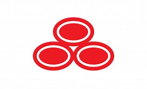 Go Hands-Free, or You’ll Pay if Caught