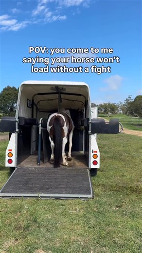 Maddy Whitford | Compassionate Horse Trainer 🇦🇺 on Instagram: "How to get your horse to load calmly 🙋‍♀️ I stopped trying to “get” horses onto floats years ago. I started teaching them how to feel safe getting on. So how the heck can YOU do the same? ➡️ By teaching emotional regulation before forward movement. When the nervous system is soft, the legs follow. Sounds too good to be true, huh? But I promise it’s not. Want to learn exactly how to trailer load without force? Comment LIBRARY below