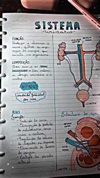 #neetaspirents #target #aiimsdelhi #2027 ...✨🙏🏼💙💖🧑🏼‍⚕️🥼💐