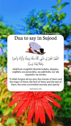 Dua to say in Sujood
