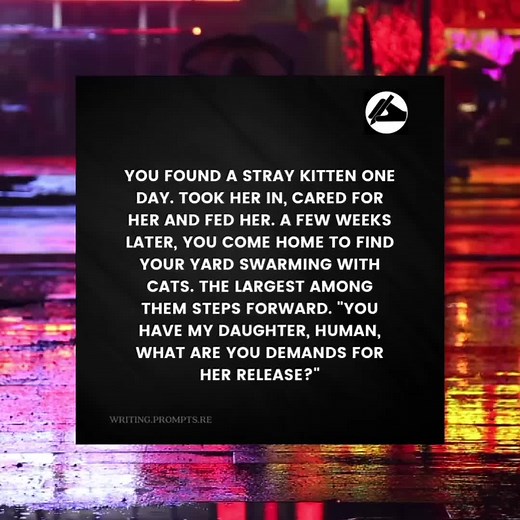 What are your demands 🤔 - #writing #writingprompts #booktok #authortok #writertok #writers #writingvideos #fyp #fypシ #scenario #imagine #cats #demands #stray #fiction #fantasy #create