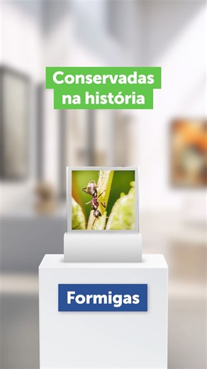 🦟🪳🪰 Formigas, baratas, mosquitos ou moscas? Temos as soluções eficazes para as combater. 🥊 Com os nossos produtos, as pragas deixam de fazer parte da sua casa e passam a fazer parte... do passado.👌 Encontre tudo o que precisa em https://www.agriloja.pt/pt/combate-a-pragas_2540.html #Agriloja #NoCampoNoJardimeEmBoaCompanhia #Pragas #Formigas #Baratas #Mosquitos #Moscas | Agriloja