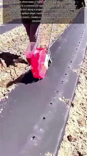 Precision Planting: The Ultimate Manual Rotary Seeder