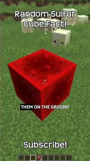 Sulfur Cubes Will Look For Blocks To Absorb In Minecraft!
