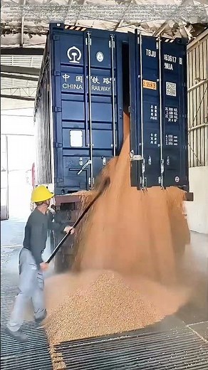 Poured Harvest: The Gravity-Fed Logic of Grain Logistics