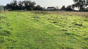 1.4K views · 37 reactions | Soggy Doggy couldn’t go ahead this year...