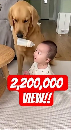 [💥2.2 Million💥]Cutest Moments!!! Baby && Puppy!! Sooooo Lovely~ Time!!!