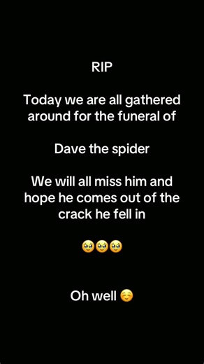 Casual bongos on TikTok