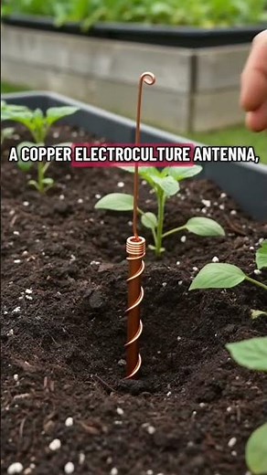 ⚡ Does Electroculture Actually Work? Thousands of Gardeners Are Testing It 🌱